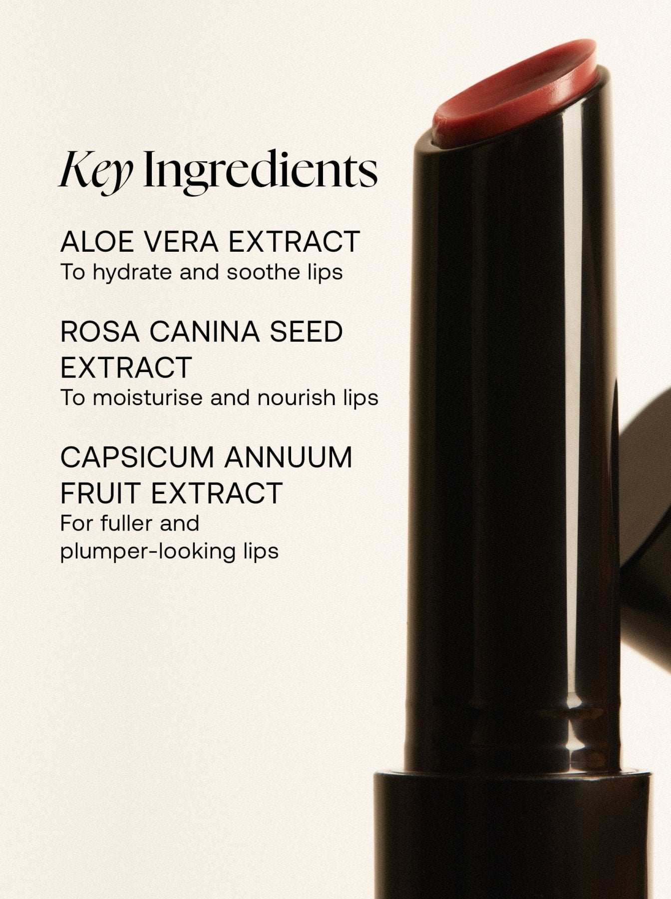 Plumping Lip Gloss - Rose - UKLASH