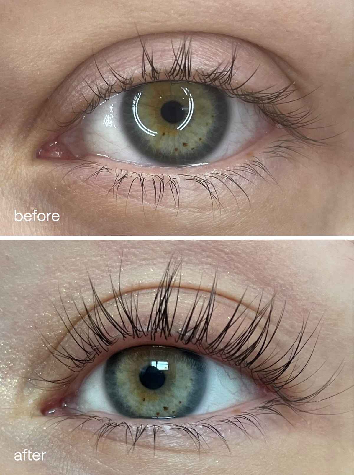 The Complete Lash Lift Bundle
