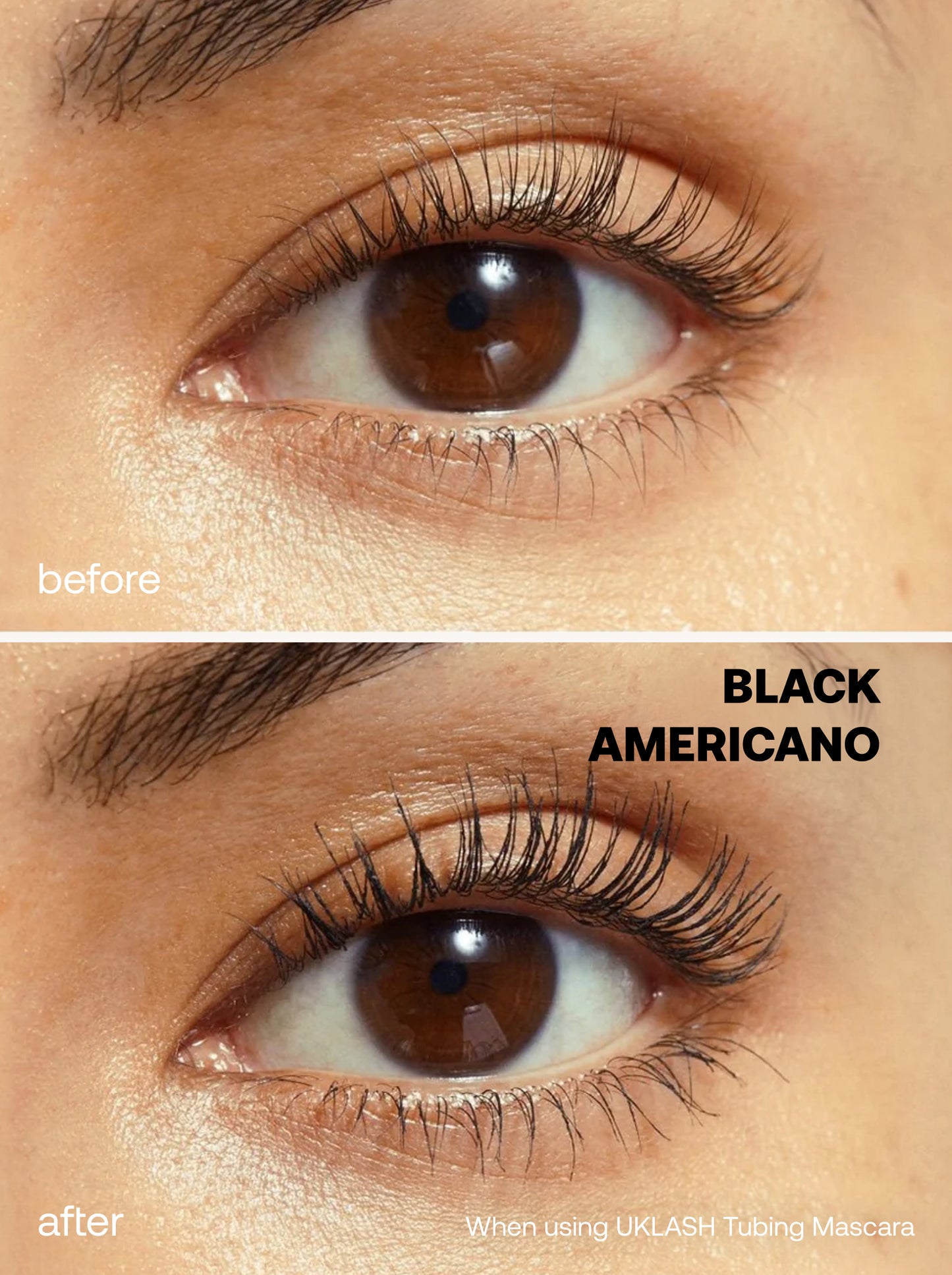 The Iconic Lashes Kit